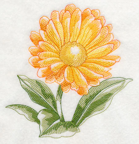 Calendula Beauty - Image 3
