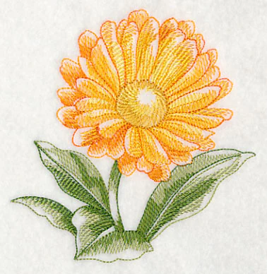 Calendula Beauty - Image 4