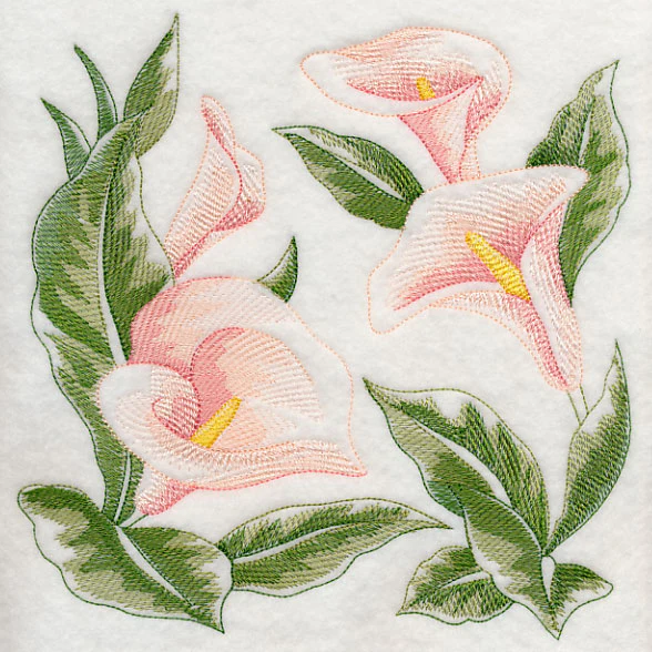 Calla Lily Sketch