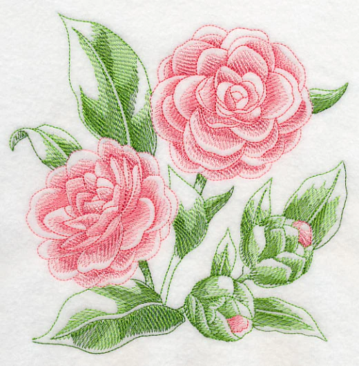 Camellia Sketch - Image 2