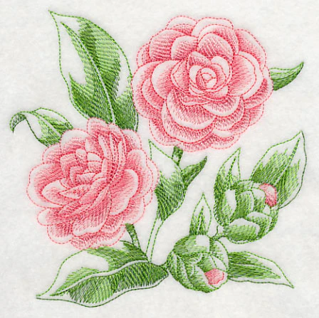 Camellia Sketch - Image 3