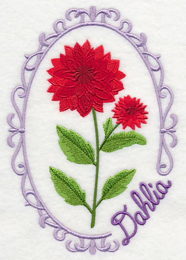 Cameo Dahlia - Image 4