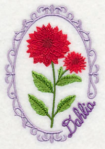Cameo Dahlia - Image 5