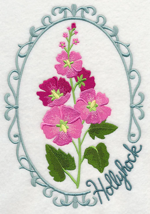 Cameo Hollyhock - Image 6