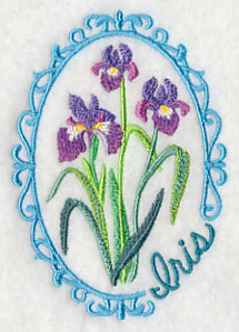 Cameo Iris - Image 5