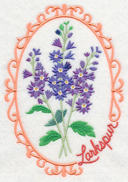 Cameo Larkspur - Image 3