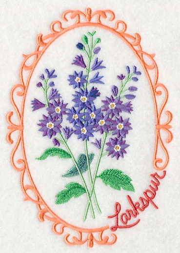 Cameo Larkspur - Image 4