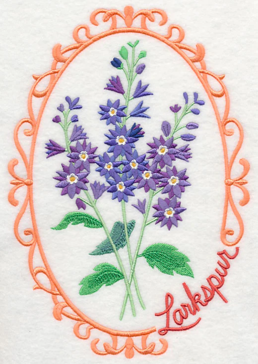 Cameo Larkspur - Image 6