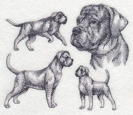 Cane Corso Sketch - Image 3