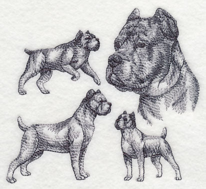Cane Corso Sketch (Docked Tail and Cropped Ears) - Image 3