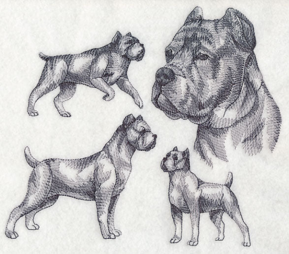 Cane Corso Sketch (Docked Tail and Cropped Ears) - Image 4