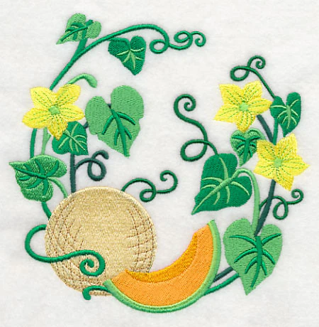 Cantaloupe Wreath - Image 3