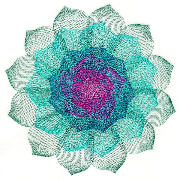 Captivating Succulent - Image 2