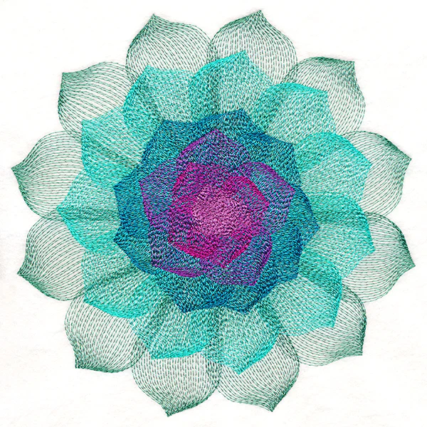 Captivating Succulent - Image 6