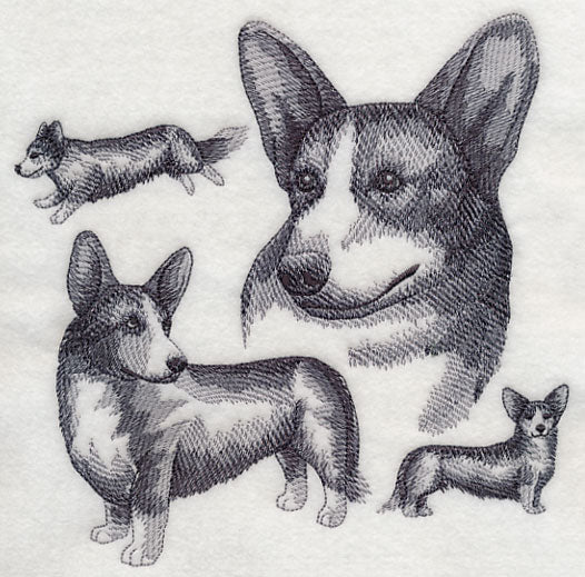 Cardigan Welsh Corgi Sketch - Image 2