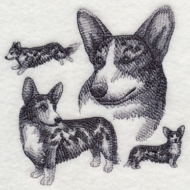 Cardigan Welsh Corgi Sketch - Merle - Image 4