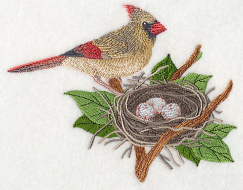 Cardinal and Nest - Image 3