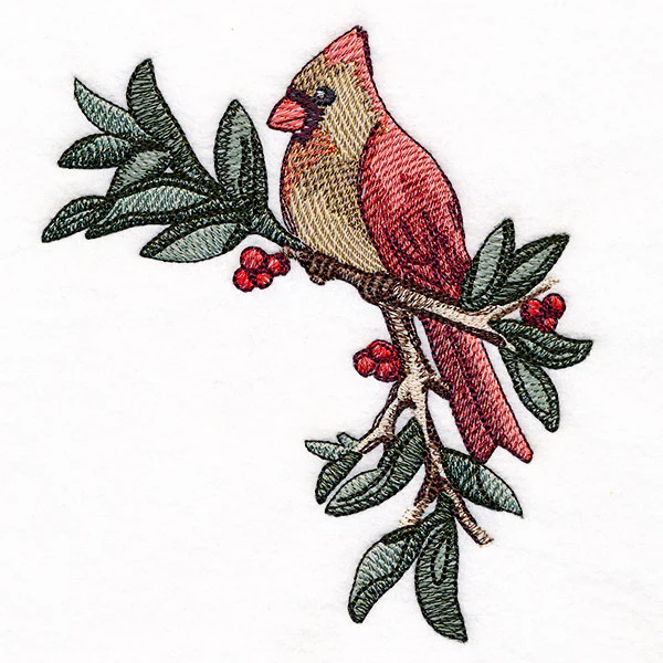 Cardinal at Christmas - Female - Image 5
