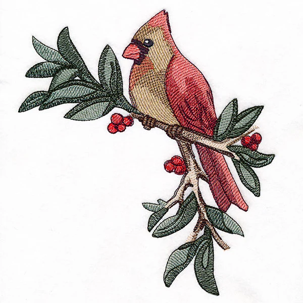 Cardinal at Christmas - Female - Image 7