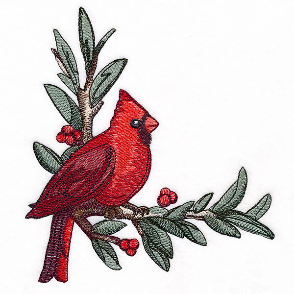 Cardinal at Christmas - Male - Image 3