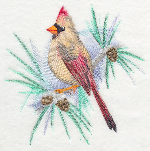Cardinal (Female) in Watercolor - Image 2