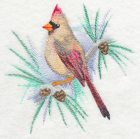 Cardinal (Female) in Watercolor - Image 3