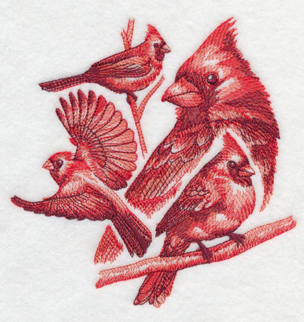Cardinal Sketch - Image 2