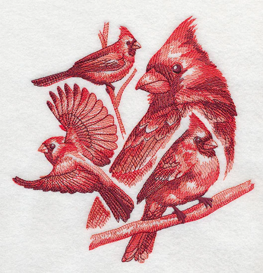 Cardinal Sketch - Image 4