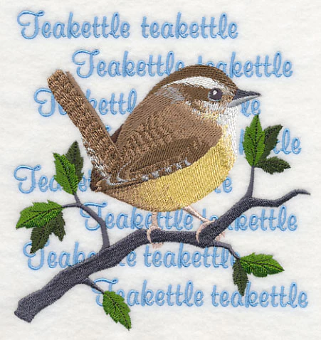 Carolina Wren Song - Image 3