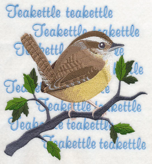 Carolina Wren Song - Image 6