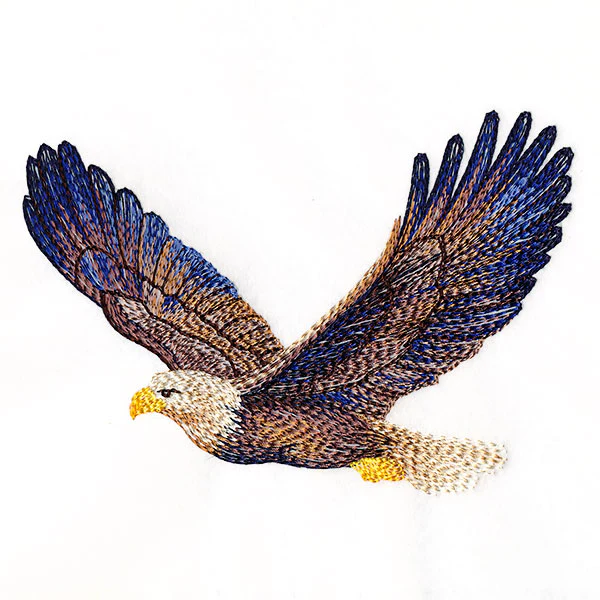 Carried Away Bald Eagle - Image 5