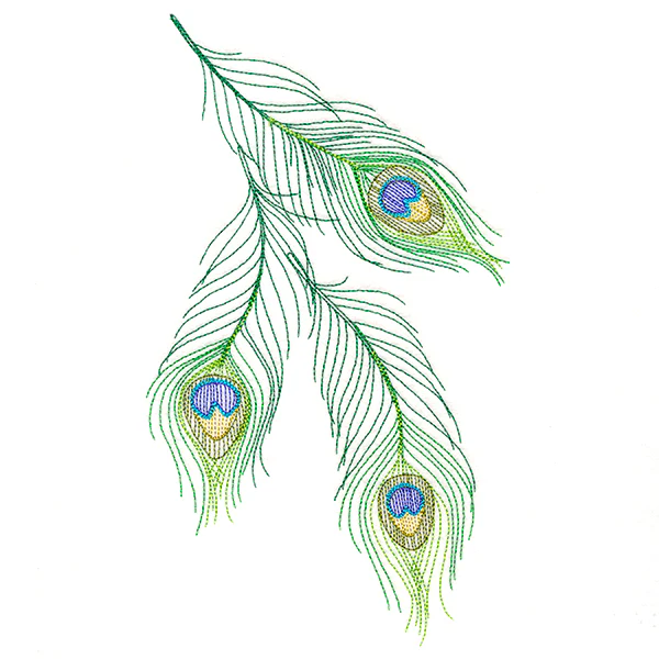Cascading Peacock Feathers - Image 2