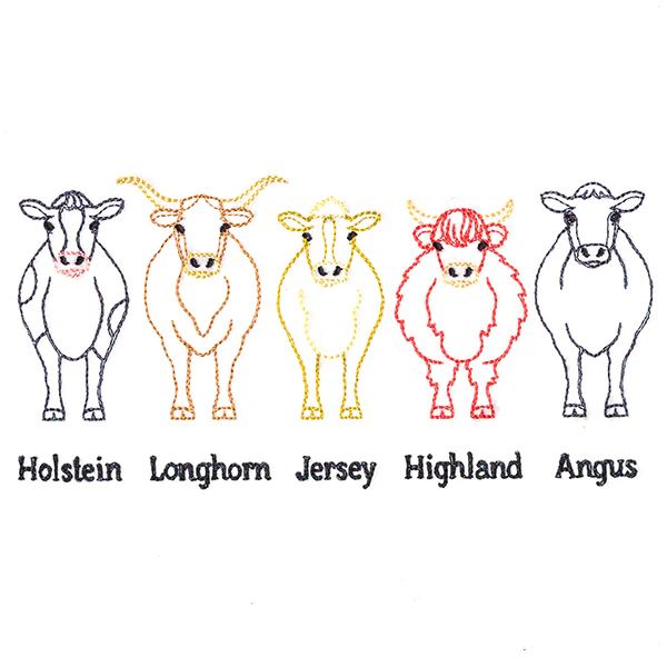 Cattle Breeds Border - Image 4