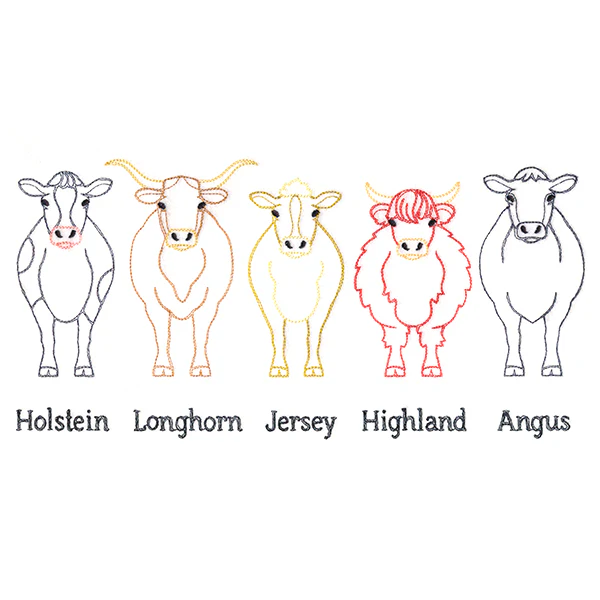 Cattle Breeds Border - Image 5