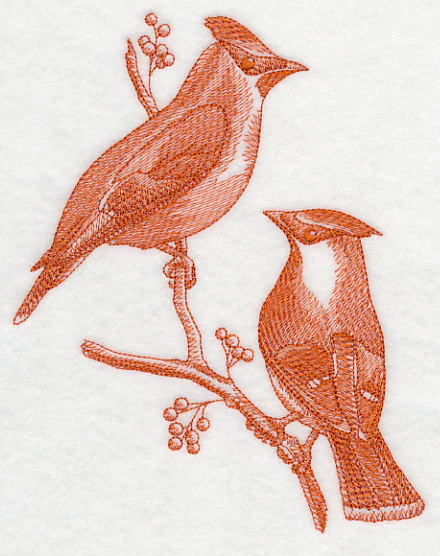Cedar Waxwings (Toile) - Image 3