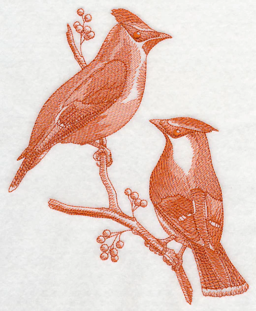 Cedar Waxwings (Toile) - Image 5