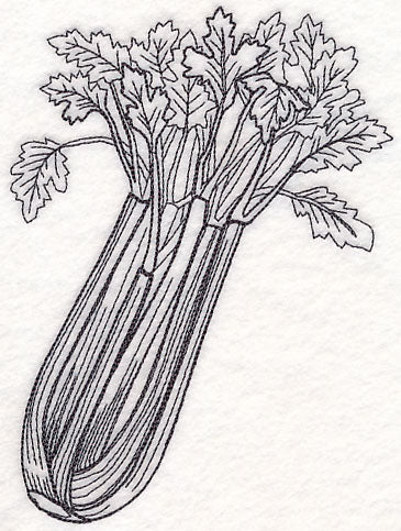 Celery Etching - Image 3