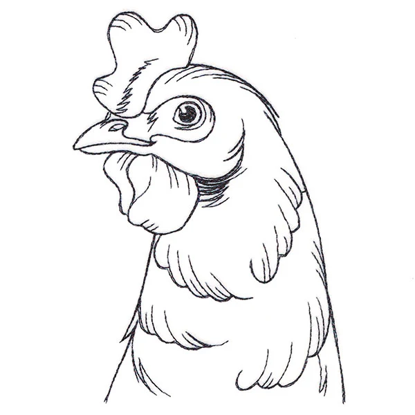 Charming Chicken Pocket Peeker