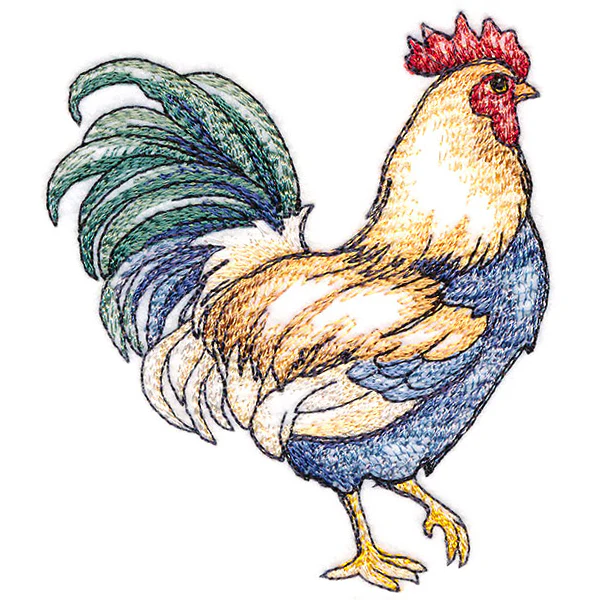 Charming Country Chicken - Image 7