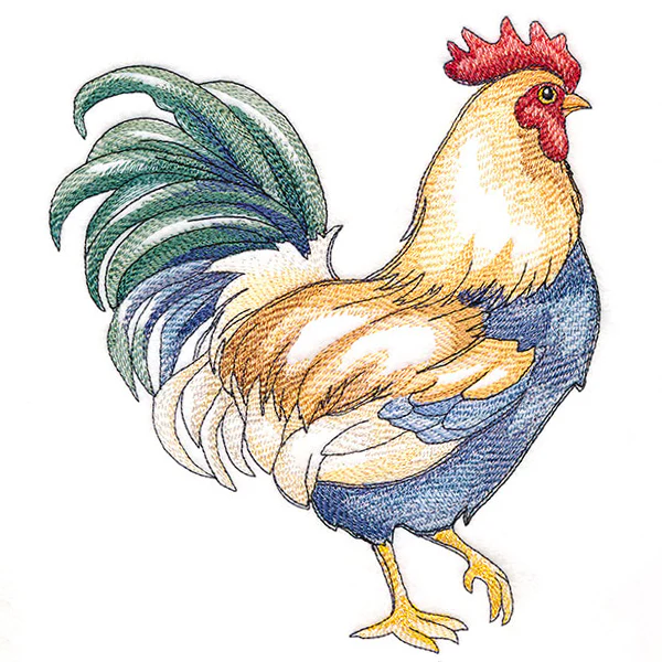 Charming Country Chicken - Image 9