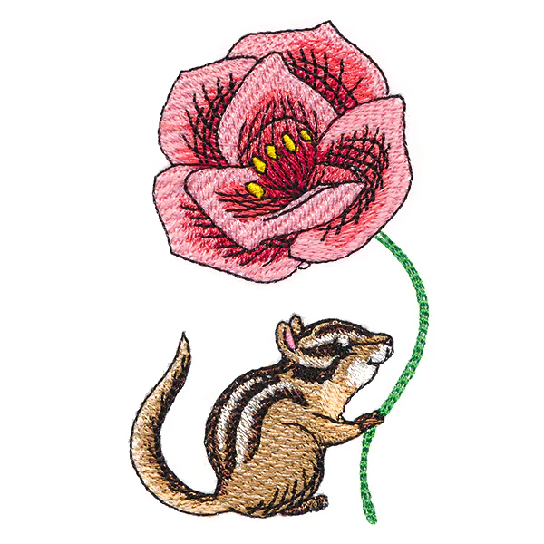 Cheerful Chipmunk with Poppy - Image 5