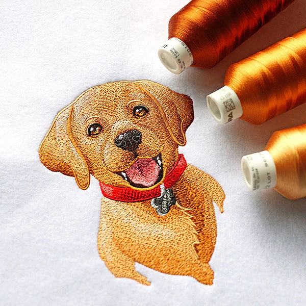Cheerful Puppy Portrait - Image 6
