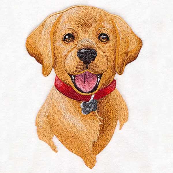 Cheerful Puppy Portrait - Image 7