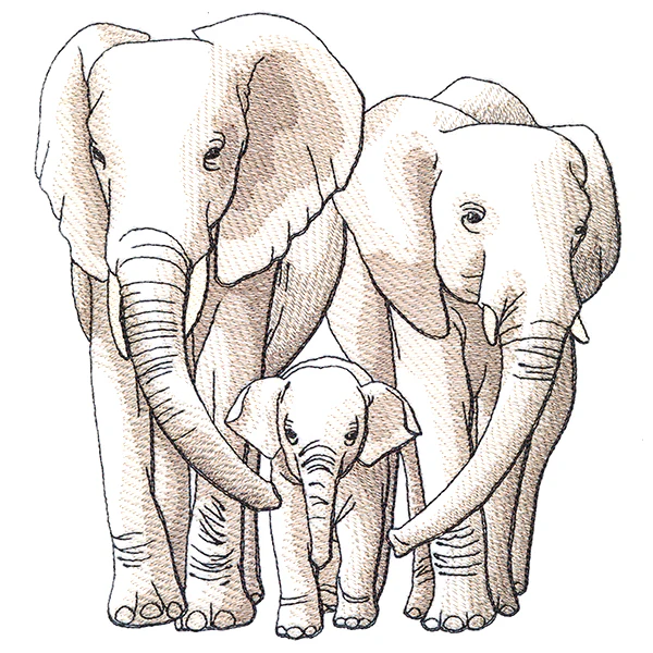Cherished Moments - Elephant Family - Image 2