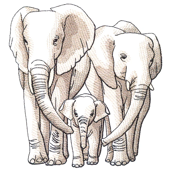Cherished Moments - Elephant Family - Image 3