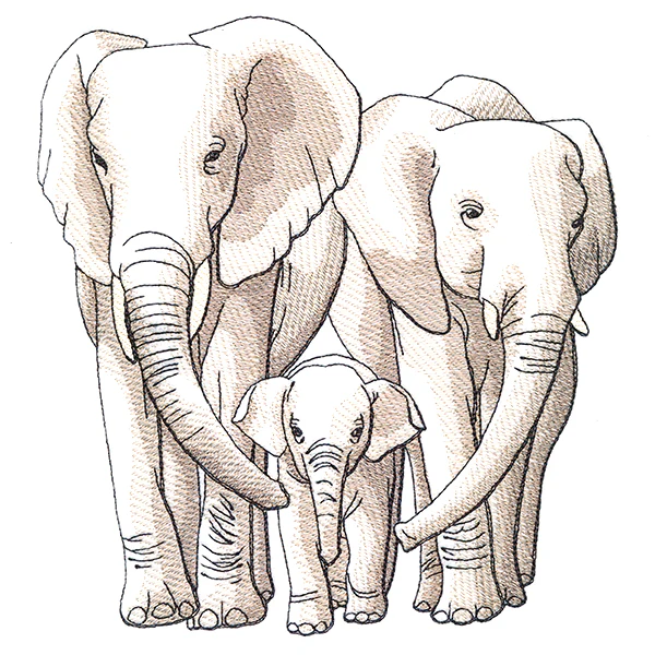 Cherished Moments - Elephant Family - Image 5