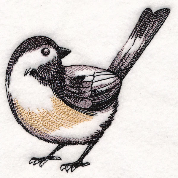 Chickadee Etching - Image 5