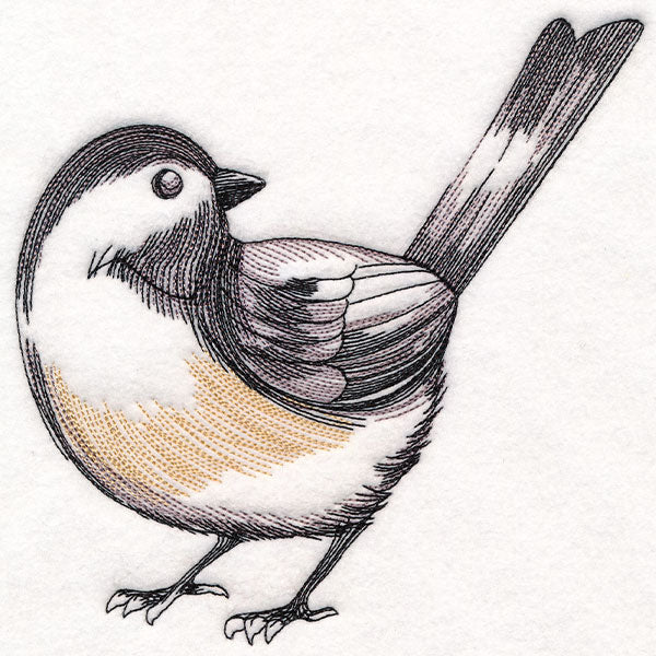 Chickadee Etching - Image 7