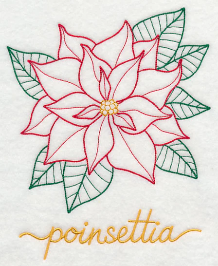 Christmas Bliss Poinsettia - Image 4