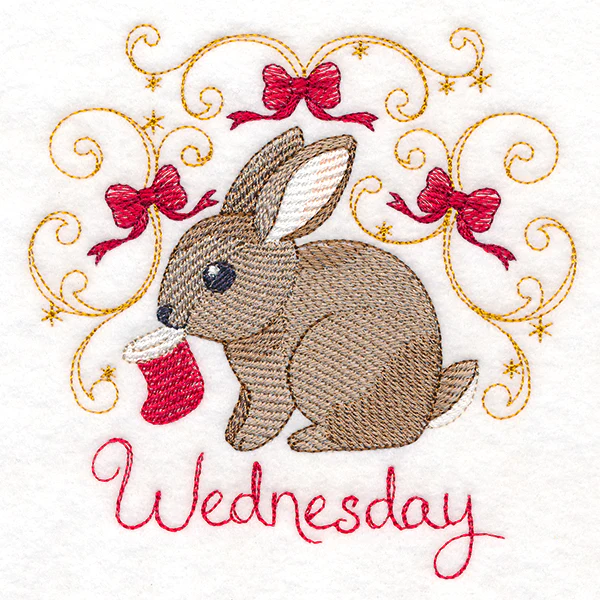 Christmas Bunny on Wednesday